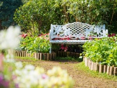 Urządź swój ogród w stylu vintage